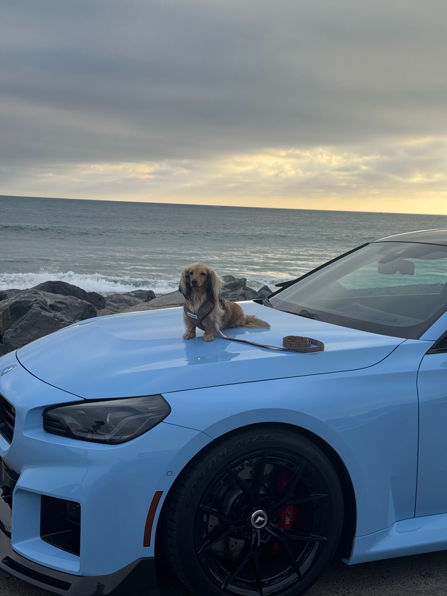 Mia and the blue BMW on a coastal drive